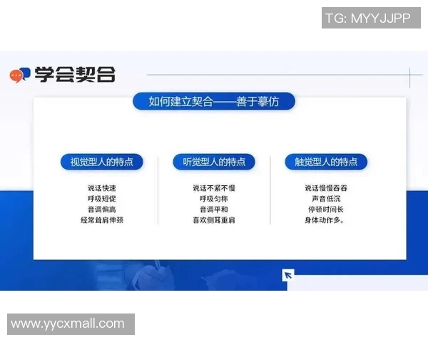 以规则为核心探讨如何构建高效的团队合作与沟通机制